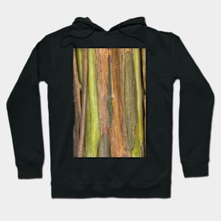 Green Bark 3 Hoodie